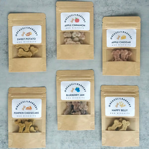 Mini Treat Bags Assortment (4 count)