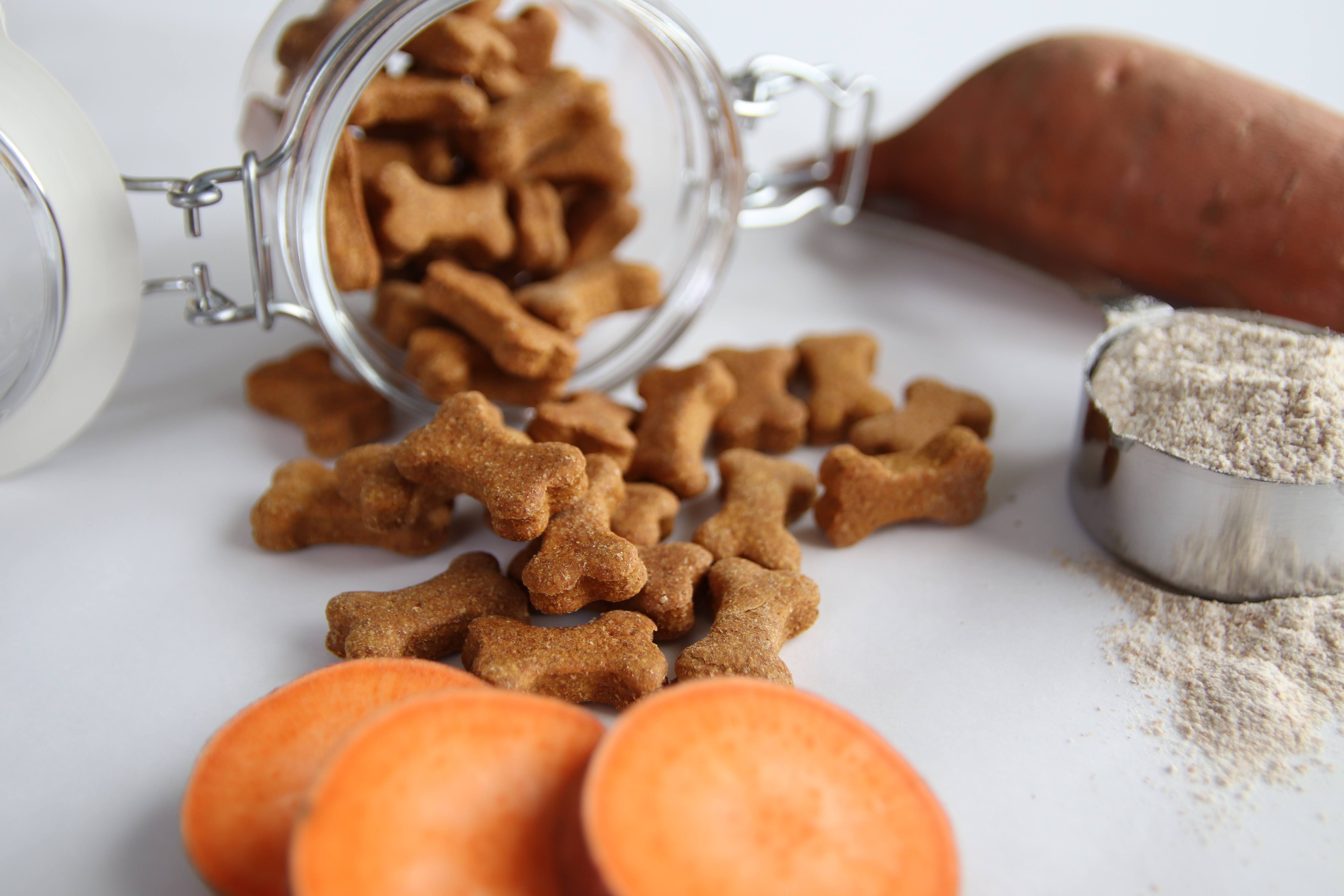 Sweet Potato Recipe Dog Biscuits