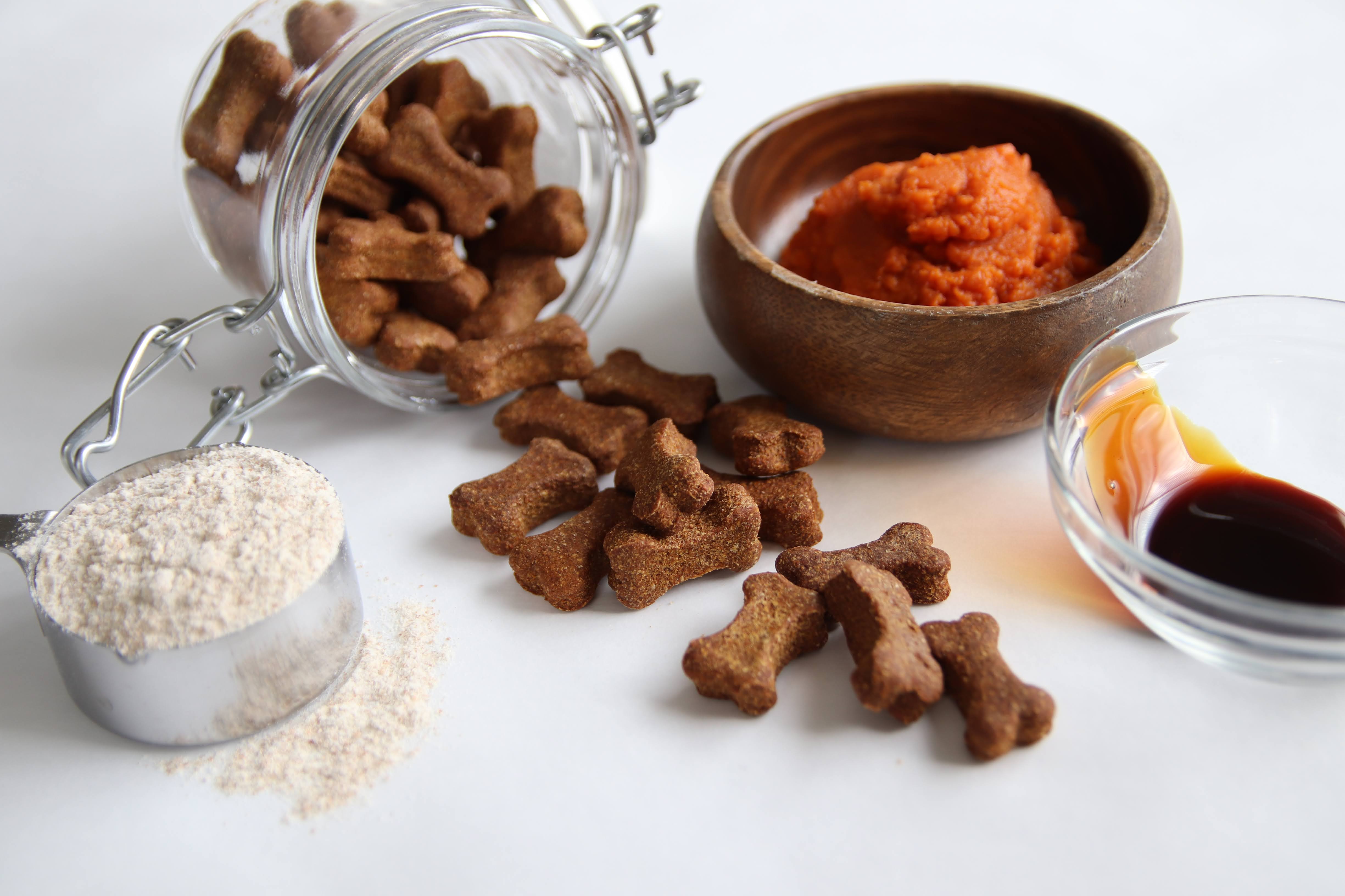 Pumpkin Molasses Recipe Dog Biscuits